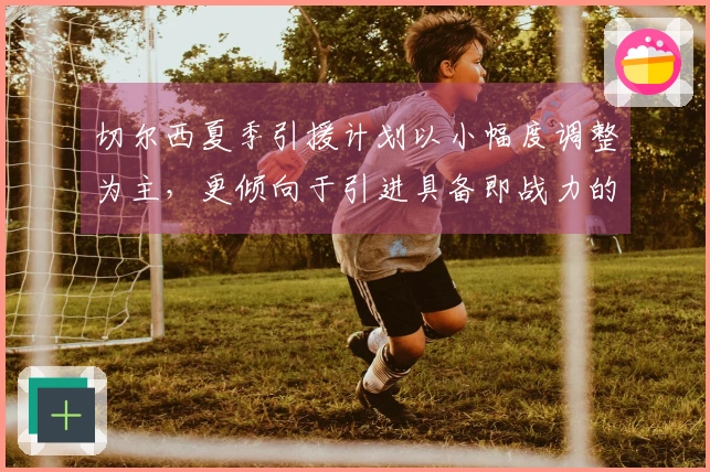 切尔西夏季引援计划以小幅度调整为主，更倾向于引进具备即战力的球员